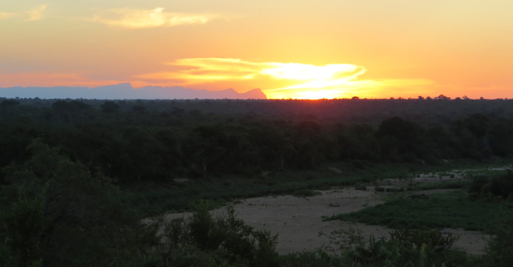 Hilltop lodge view
