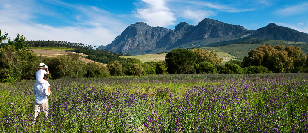 Babylonstoren_DCR7105a_r