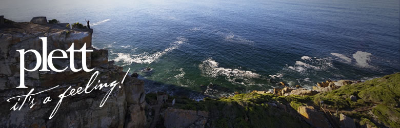 plett banner-33_0