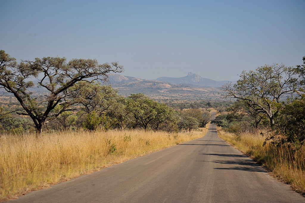 Kruger Holiday