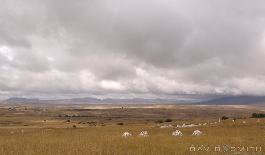 battlefields_dgf9159