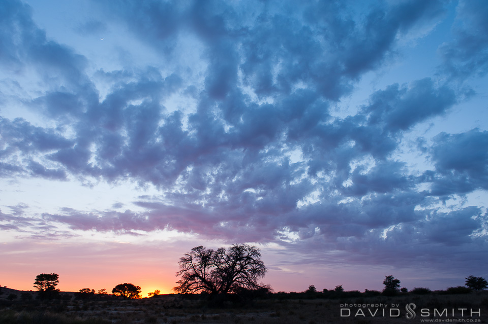Kalahari 067_D371087