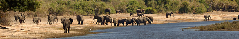 chobe chilwero