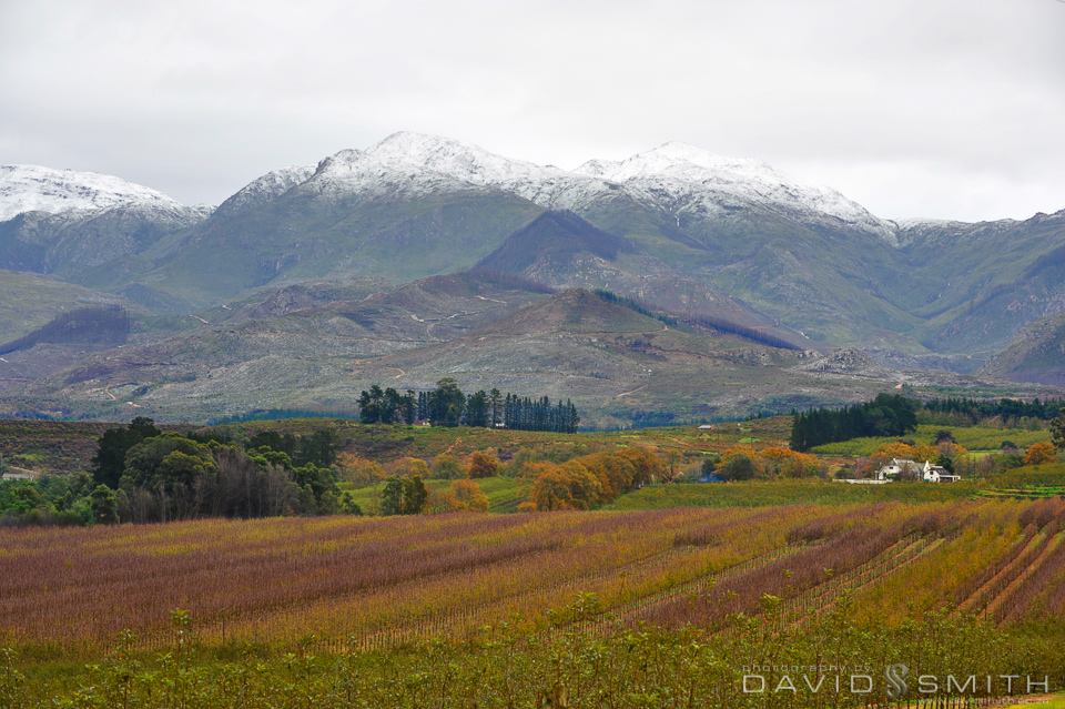 Grabouw snow