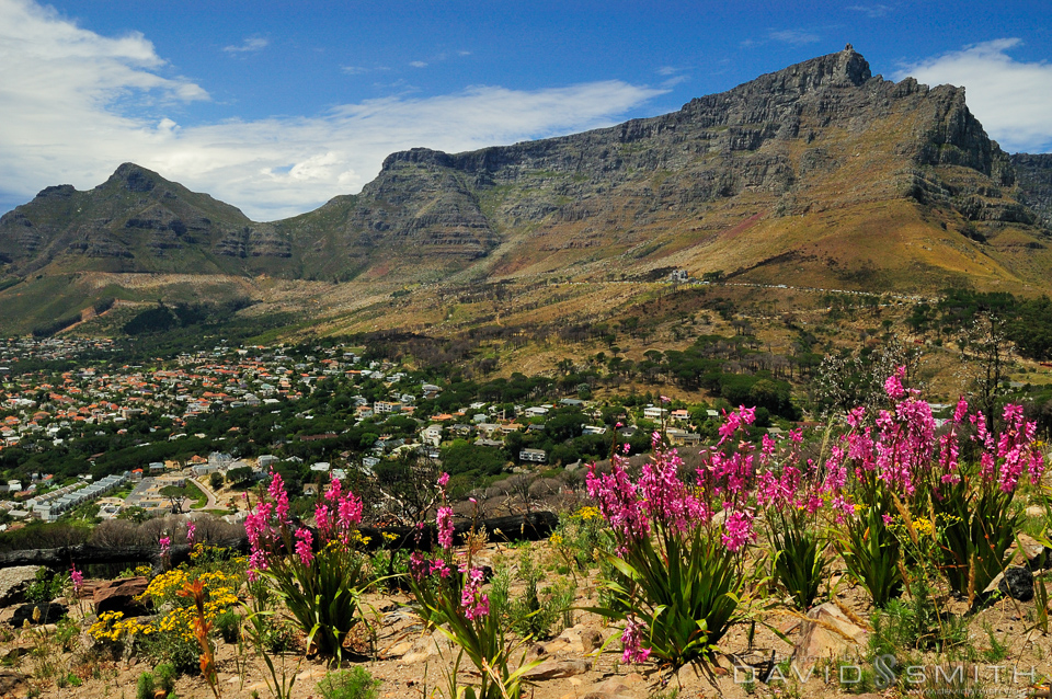 Cape Town