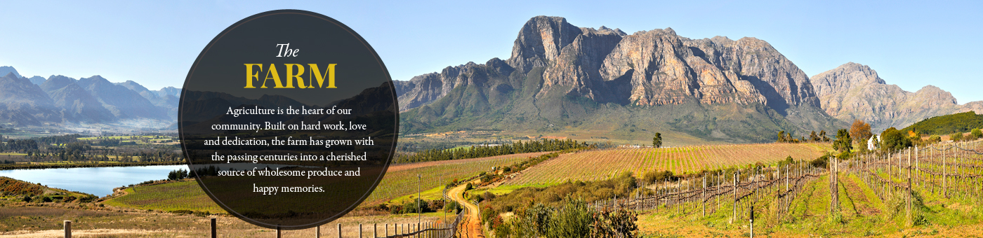 boschendal-the-farm