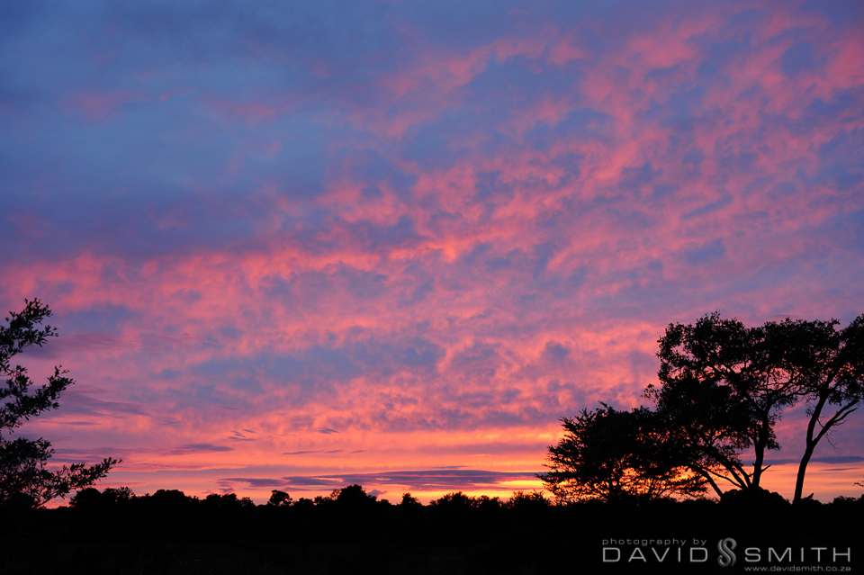 D Landscapes _D326890
