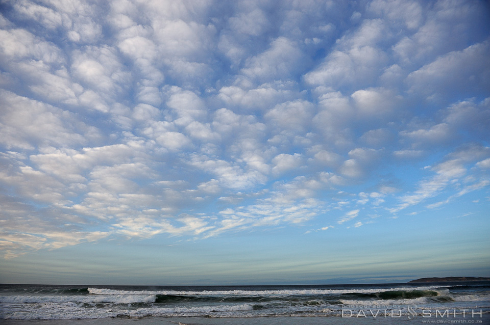 Eastern Cape