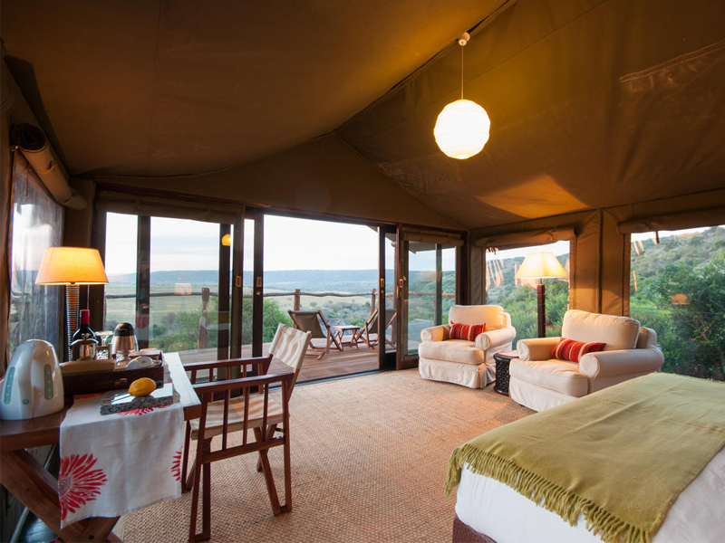 Eastern_Cape_Safari_greater_Addo_accommodation_Amakhala_Game_reserve_HillsNek_Safari_Camp_Interior_Room.jpeg
