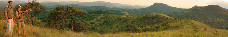 amakhosi