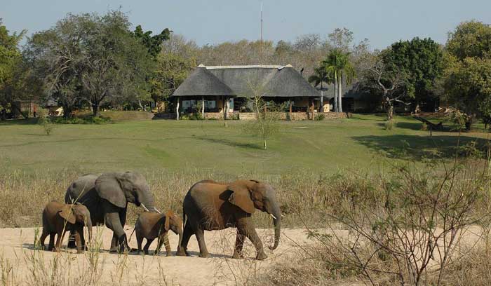 inyati-game-lodge-1475
