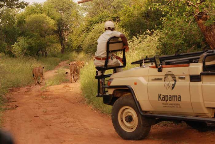 lions-and-kapama-cruiser