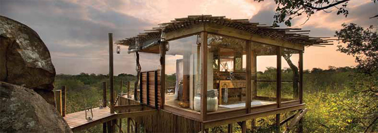more treehouses