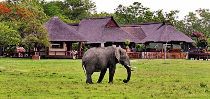 nkorho-bush-lodge-exterior-590